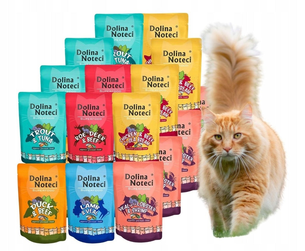 Dolina Noteci Superfood mokra karma dla kota 20 x 85 g bez zbóż – mix smaków