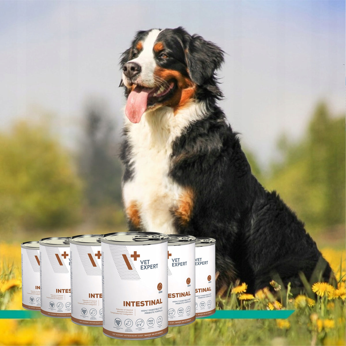Vet Expert Intestinal karma weterynaryjna mokra dla psa, jagnięcina – 6 x 400 g