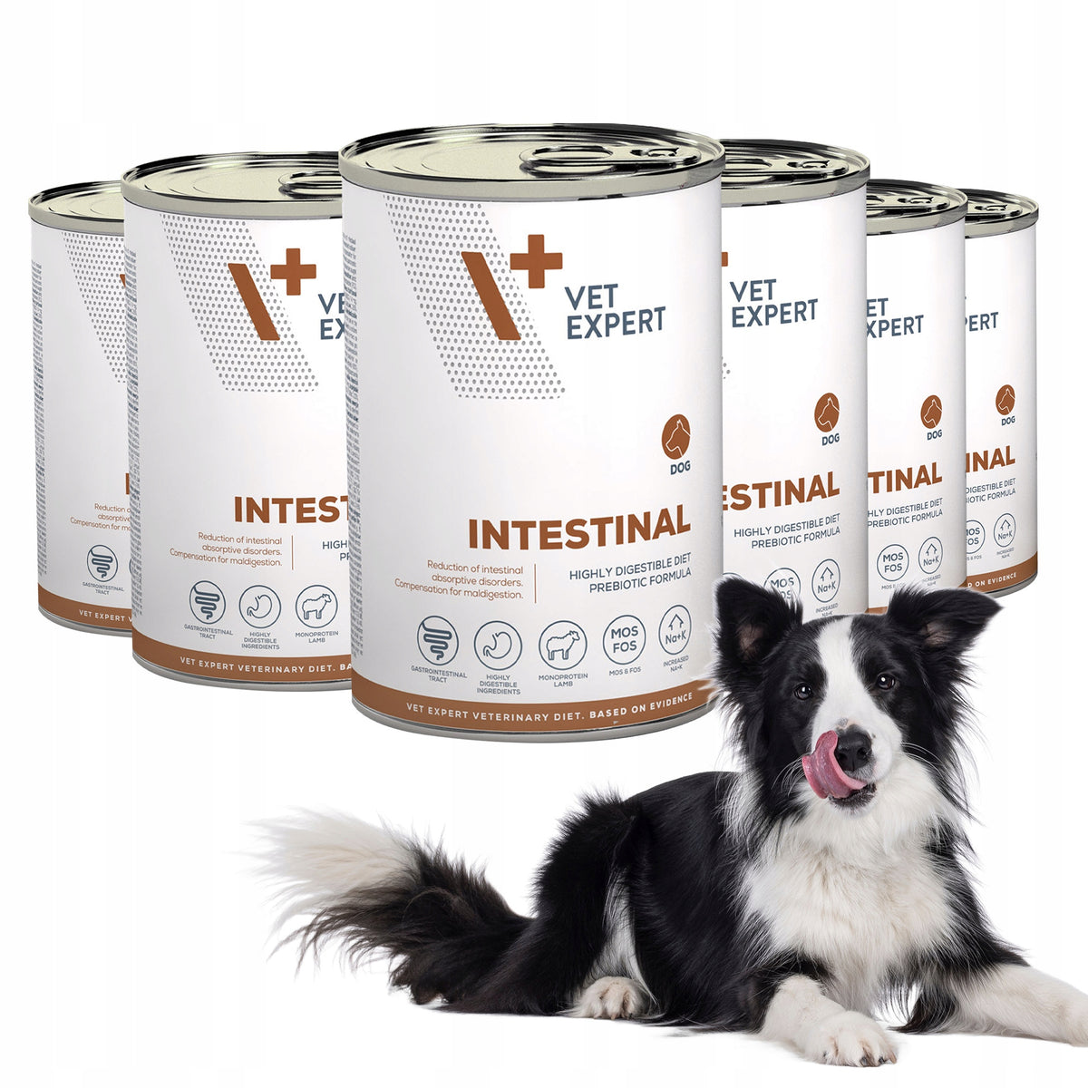 Vet Expert Intestinal karma weterynaryjna mokra dla psa, jagnięcina – 6 x 400 g