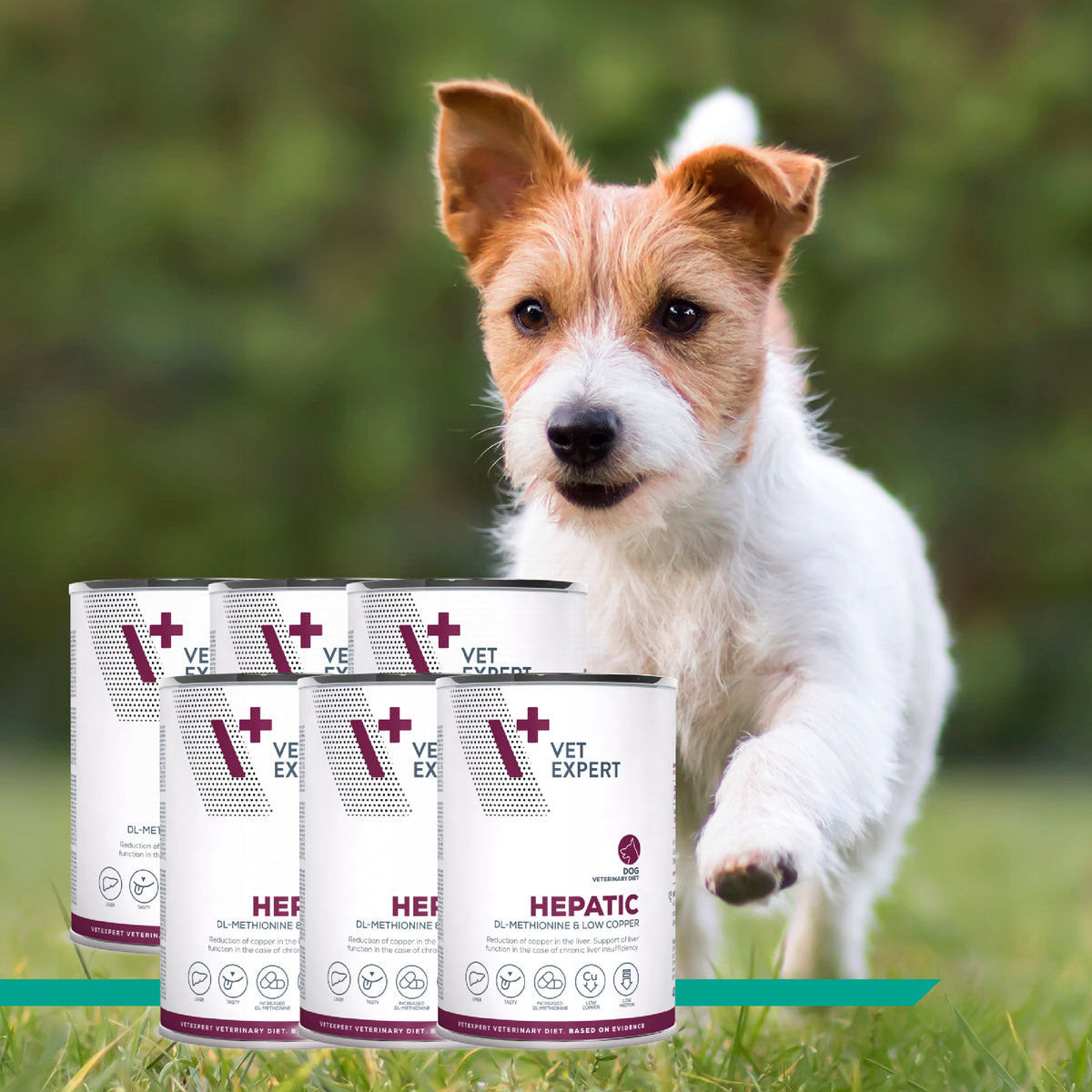 Vet Expert Hepatic mokra karma dla psów wsparcie wątroby 6 x 400 g – kurczak
