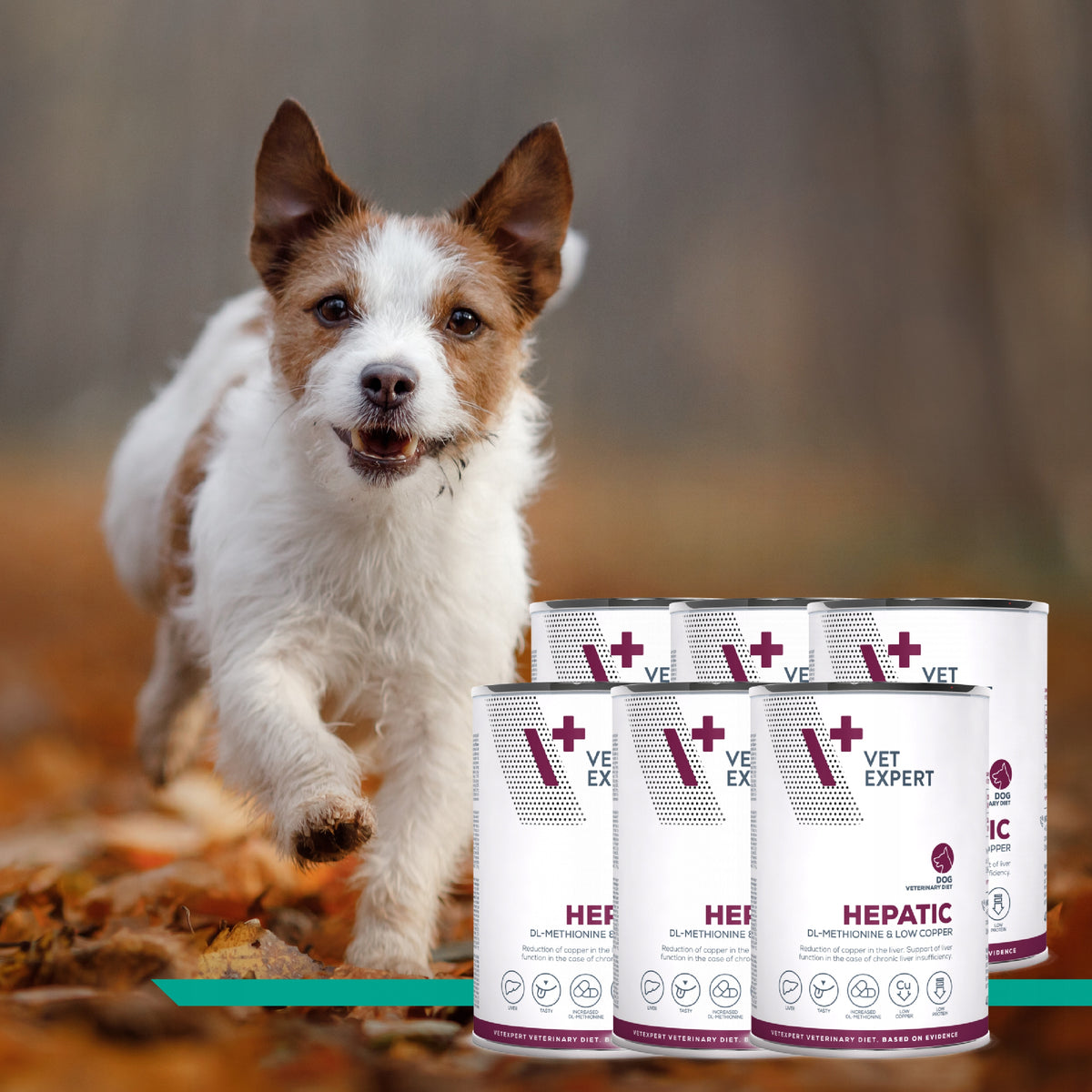 Vet Expert Hepatic mokra karma dla psów wsparcie wątroby 6 x 400 g – kurczak
