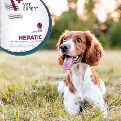 Vet Expert Hepatic mokra karma dla psów wsparcie wątroby 6 x 400 g – kurczak