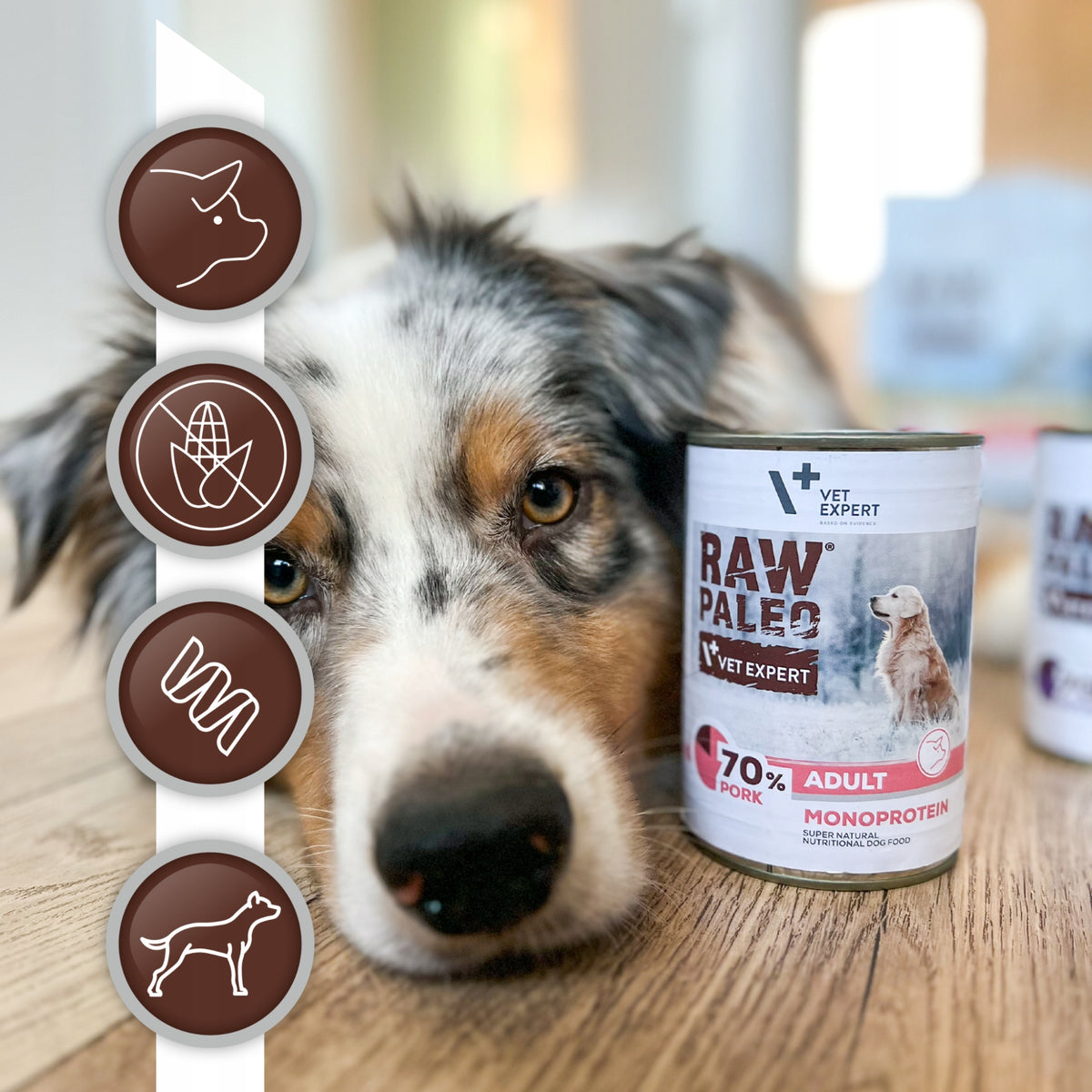 Raw Paleo mokra karma dla psa monobiałkowa z wieprzowiną 12 x 400 g – bezzbożowa, hipoalergiczna