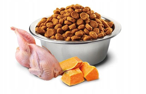 Farmina N&D sucha karma dla kota 1,5 kg bezzbożowa z dynią – przepiórka i granat
