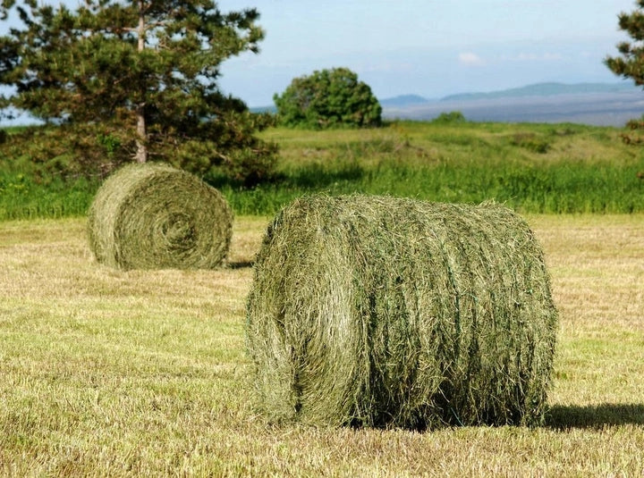 Gryzek Ściółka z siana i słomy 40 l dla królików i gryzoni – pellet niepylący, 15 kg