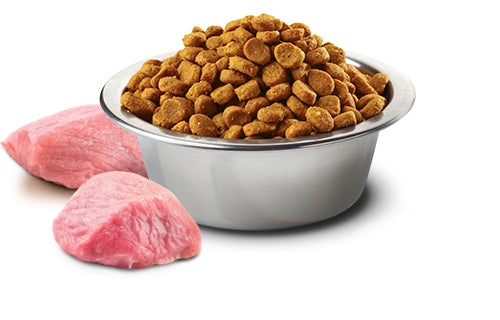 Farmina N&D Prime sucha karma dla kota bez zbóż 1,5 kg – jagnięcina z borówką
