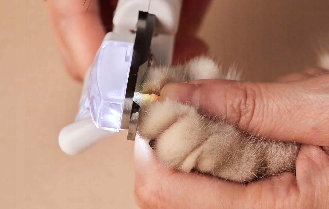 Petkit Obcinacz do pazurów dla psa i kota z lampką LED, pilnikiem i pojemnikiem
