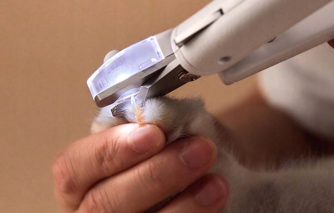 Petkit Obcinacz do pazurów dla psa i kota z lampką LED, pilnikiem i pojemnikiem