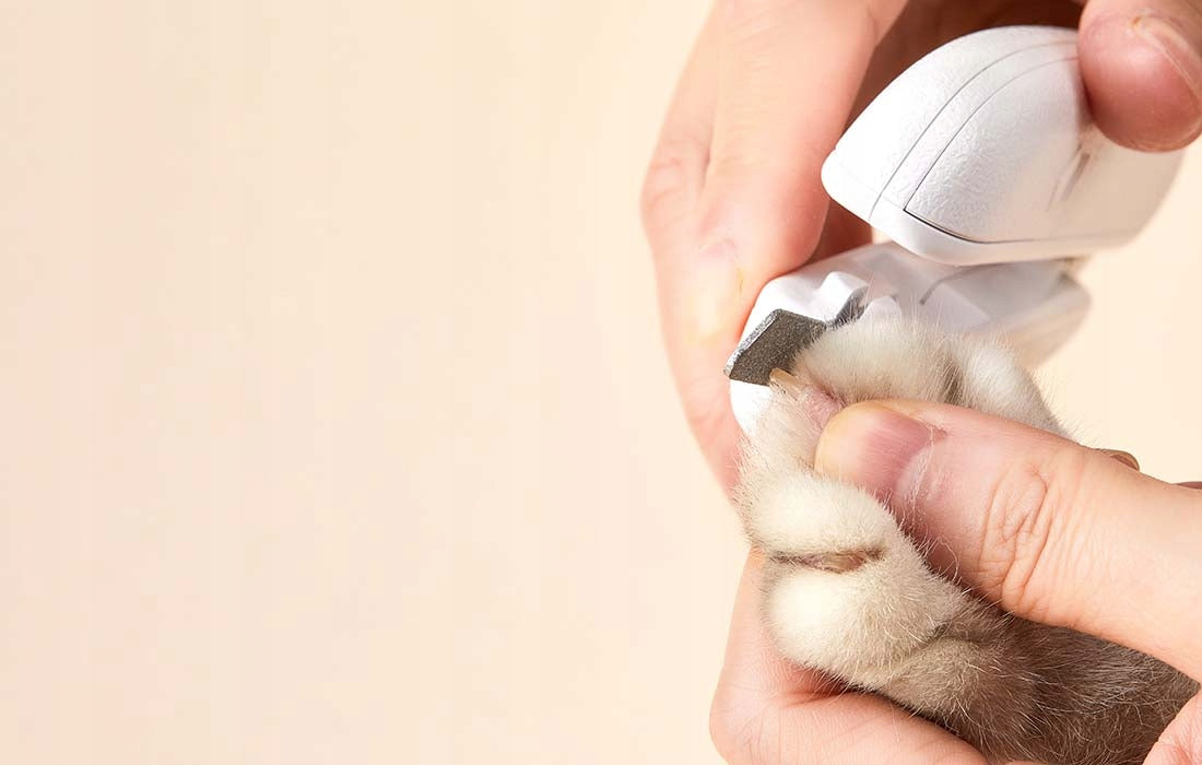 Petkit Obcinacz do pazurów dla psa i kota z lampką LED, pilnikiem i pojemnikiem
