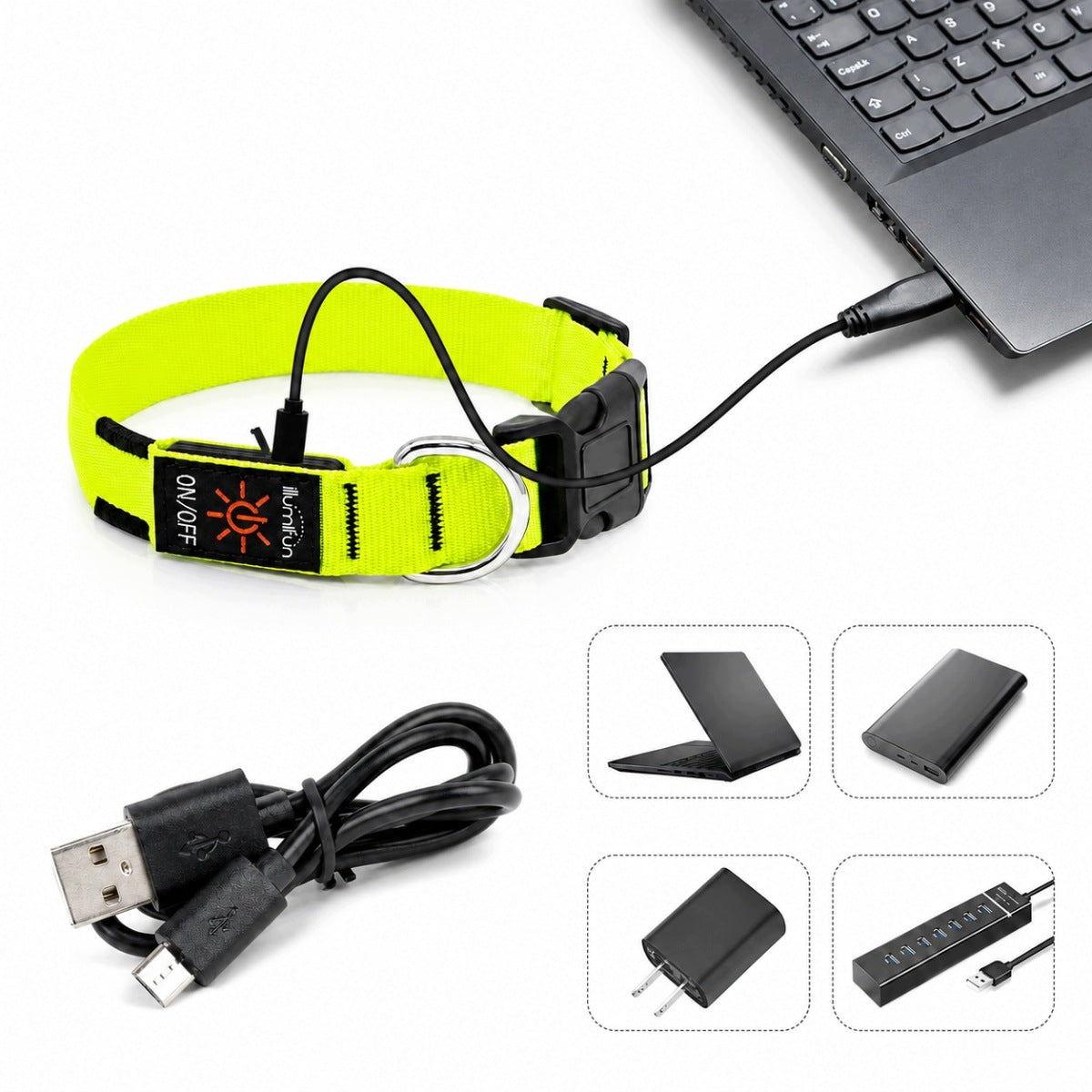 Świecąca obroża LED dla psa M ładowana USB-C, wodoodporna, 3 tryby, 40-50 cm – zielona
