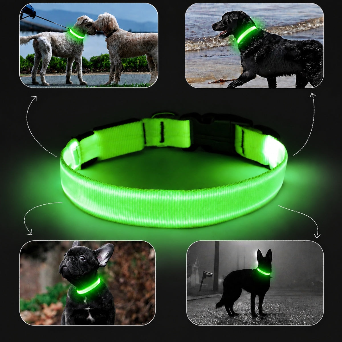Świecąca obroża LED dla psa M ładowana USB-C, wodoodporna, 3 tryby, 40-50 cm – zielona