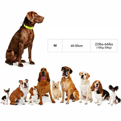 Świecąca obroża LED dla psa M ładowana USB-C, wodoodporna, 3 tryby, 40-50 cm – zielona