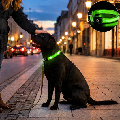 Obroża świecąca LED dla psa 38-50 cm, ładowana USB-C, 3 tryby, wodoodporna – zielona M