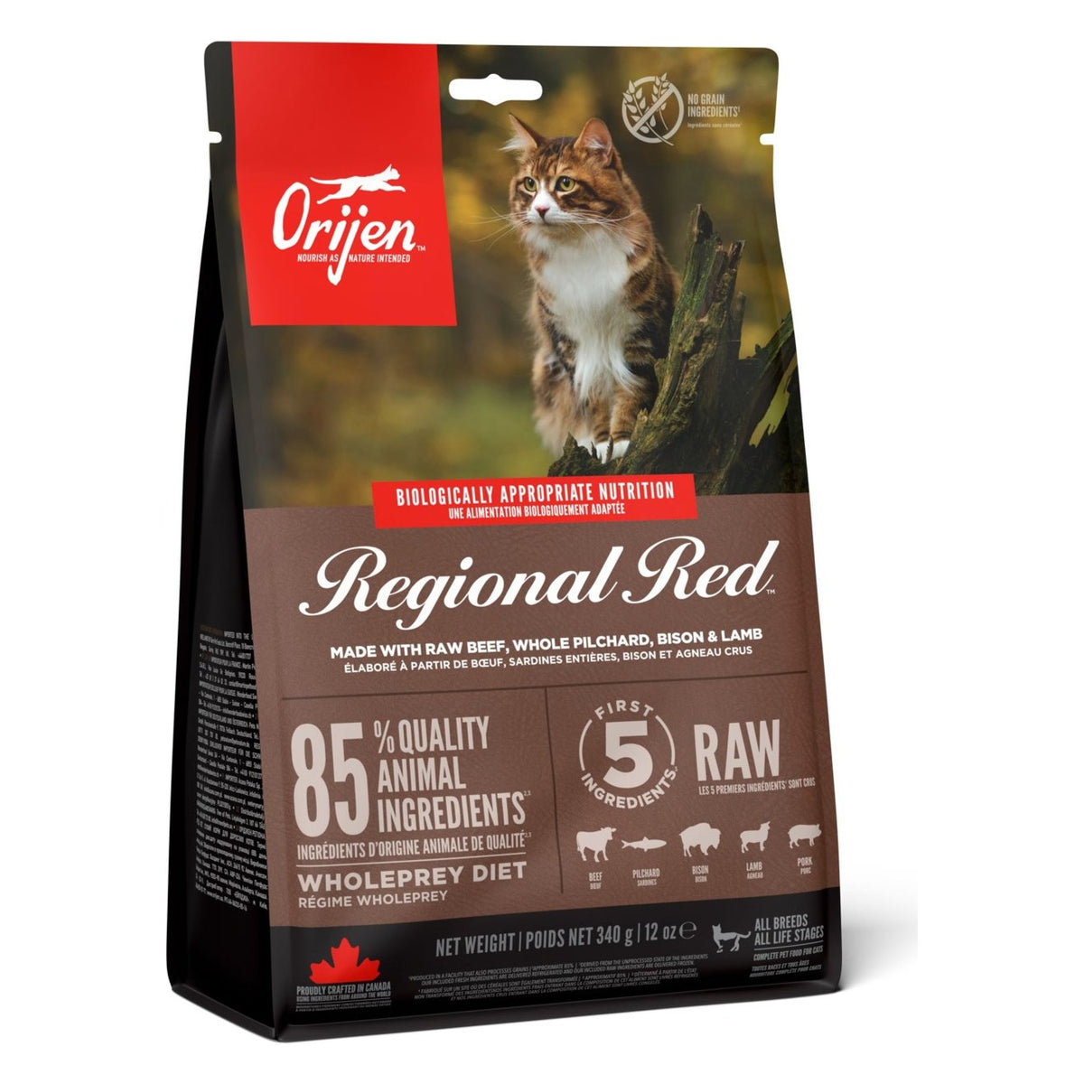 Orijen Regional Red Cat 340 g sucha karma dla kota bezzbożowa – czerwone mięso, jagnięcina