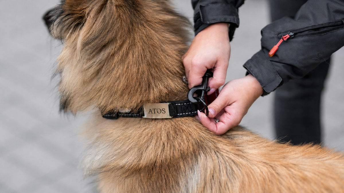 HUGGY DOGGY Obroża dla psa z grawerem XS 25-30 cm, neoprenowa, odblaskowa – czarna