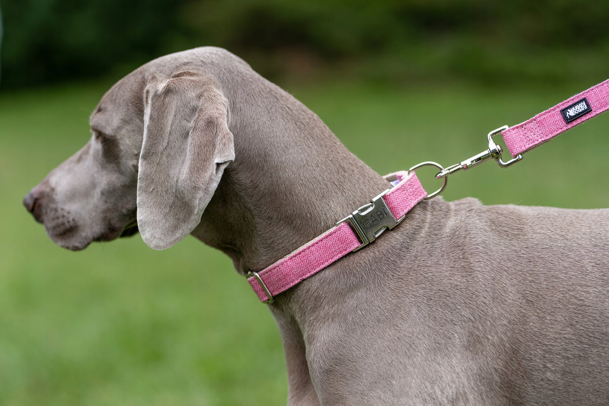 HUGGY DOGGY Obroża dla psa z grawerem imienia, konopna 2,5 cm, rozmiar L 40–60 cm – czarna