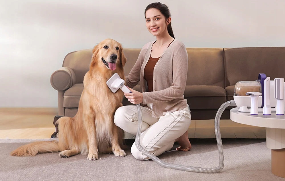 Oneisall Odkurzacz do pielęgnacji sierści psa i kota LM5 300 W – 4 końcówki, zbiornik 1,5 l
