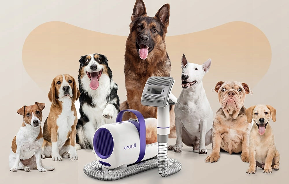 Oneisall Odkurzacz do pielęgnacji sierści psa i kota LM5 300 W – 4 końcówki, zbiornik 1,5 l