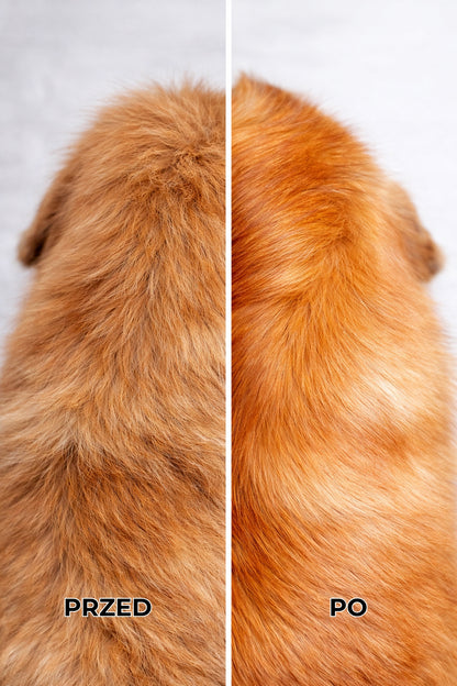 WOOFMETICS Sierściuch olejek do sierści psa 30 ml – nabłyszczający, bezzapachowy, z pompką