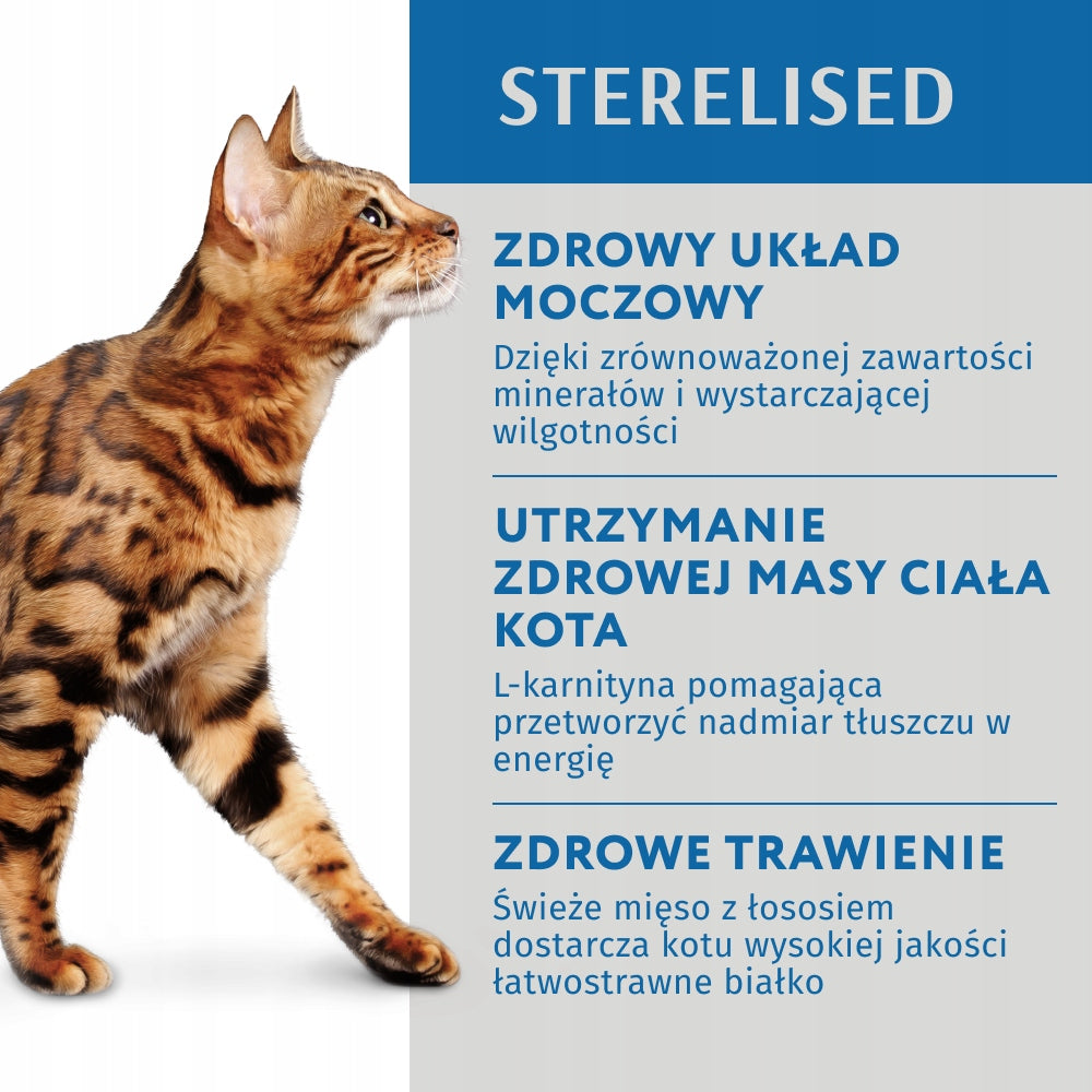 Optimeal mokra karma dla kota sterylizowanego 12x85 g w galaretce – łosoś z borówkami