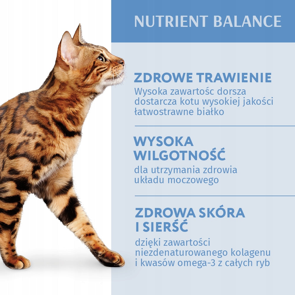 Optimeal mokra karma dla dorosłych kotów w galaretce 12 x 85 g – dorsz z warzywami