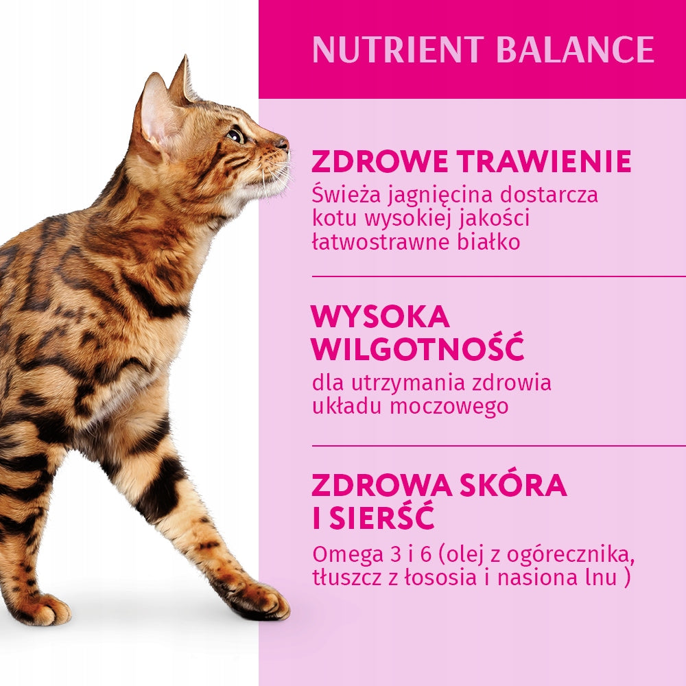 Optimeal mokra karma dla dorosłych kotów, jagnięcina w galaretce 12 x 85 g – saszetki