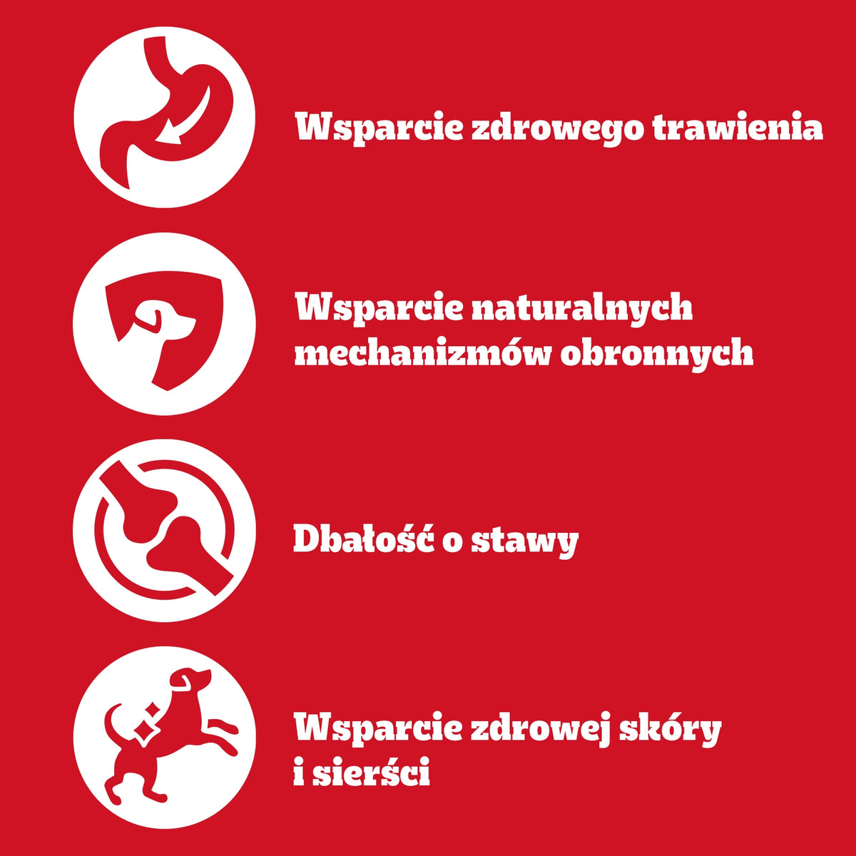 PEDIGREE Adult Vitality+ mokra karma dla psa w saszetkach 40 x 85 g – mix smaków