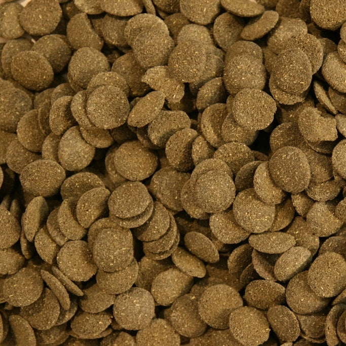 TD Stones Pokarm dla ryb dennych 1000 g – tonące wafelki ze spiruliną dla glonojadów
