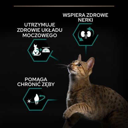 PRO PLAN Sucha karma dla kotów sterylizowanych 10 kg z królikiem i prebiotykiem – Renal