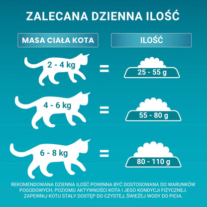 Purina ONE Indoor Formula sucha karma dla kotów domowych z indykiem 9,75 kg – dorosłe