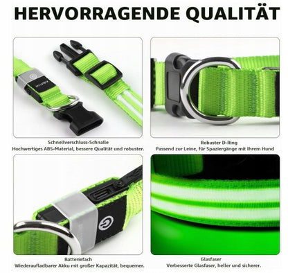 Świecąca obroża dla psa ładowana USB, 3 tryby świecenia, regulowana, rozmiar M – zielona