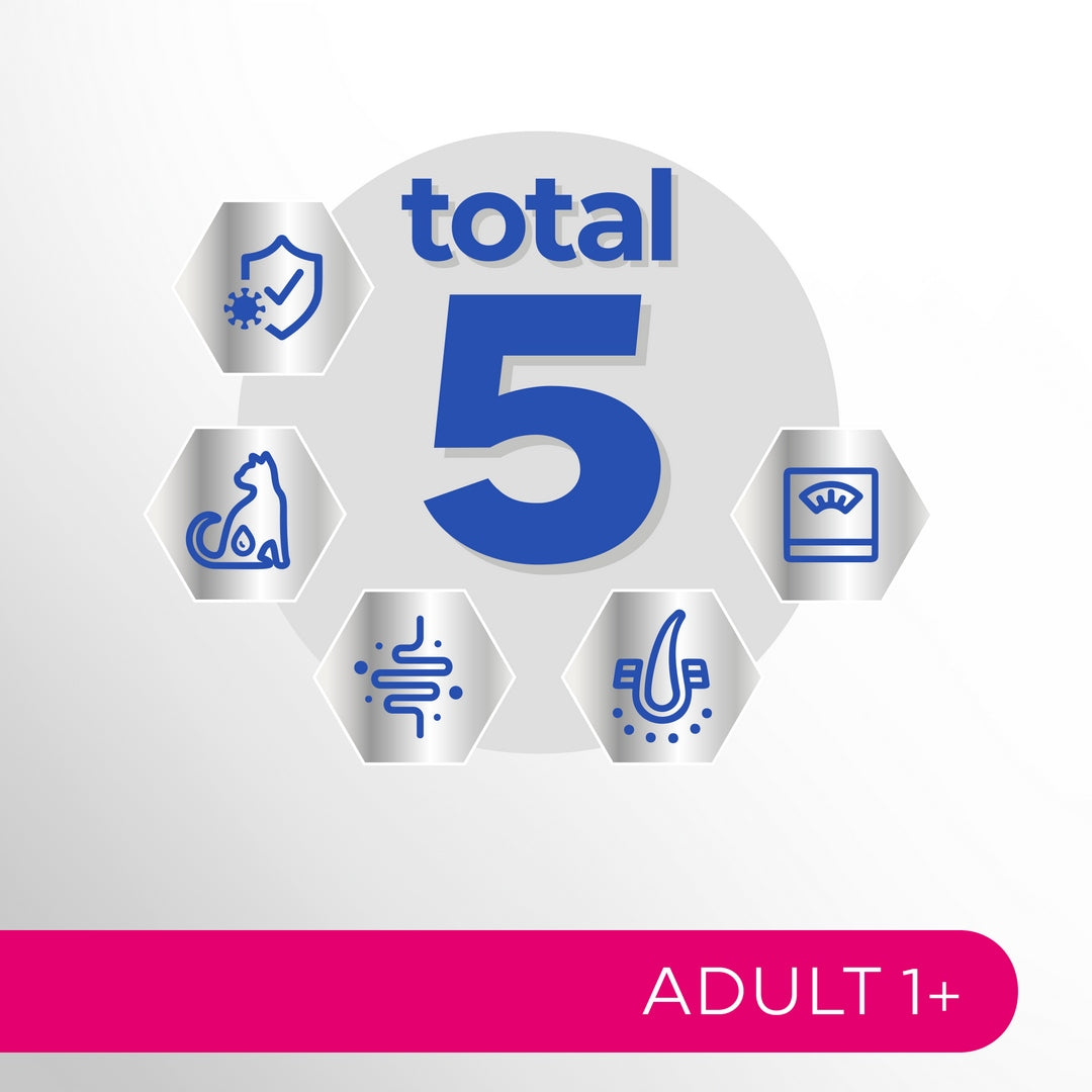 Perfect Fit Adult 1+ mokra karma dla kota 52x85 g w sosie – kurczak i wołowina
