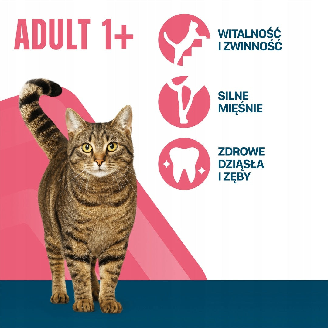 Perfect Fit sucha karma dla kota dorosłego 7 kg z prebiotykiem – smak kurczak
