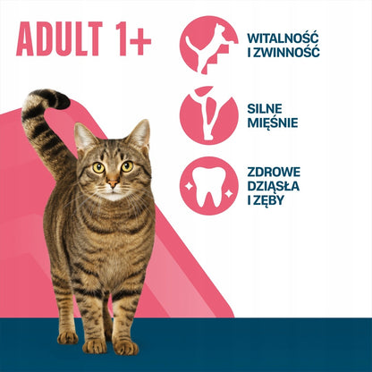 Perfect Fit sucha karma dla kota dorosłego 7 kg z prebiotykiem – smak kurczak