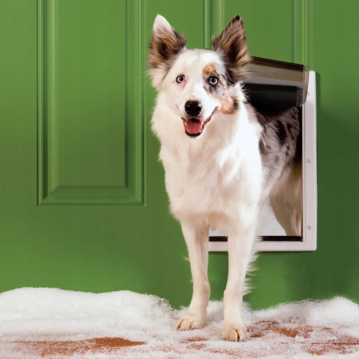 PetSafe Extreme Weather drzwiczki dla psa i kota L 31 x 50 cm, termoizolacyjne – białe