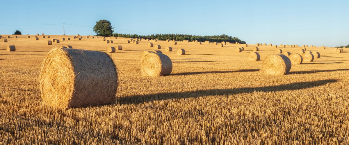MRUCZKA Podłoże słomiane pellet 40 l 15 kg dla gryzoni i królików – bezpyłowe, ekologiczne