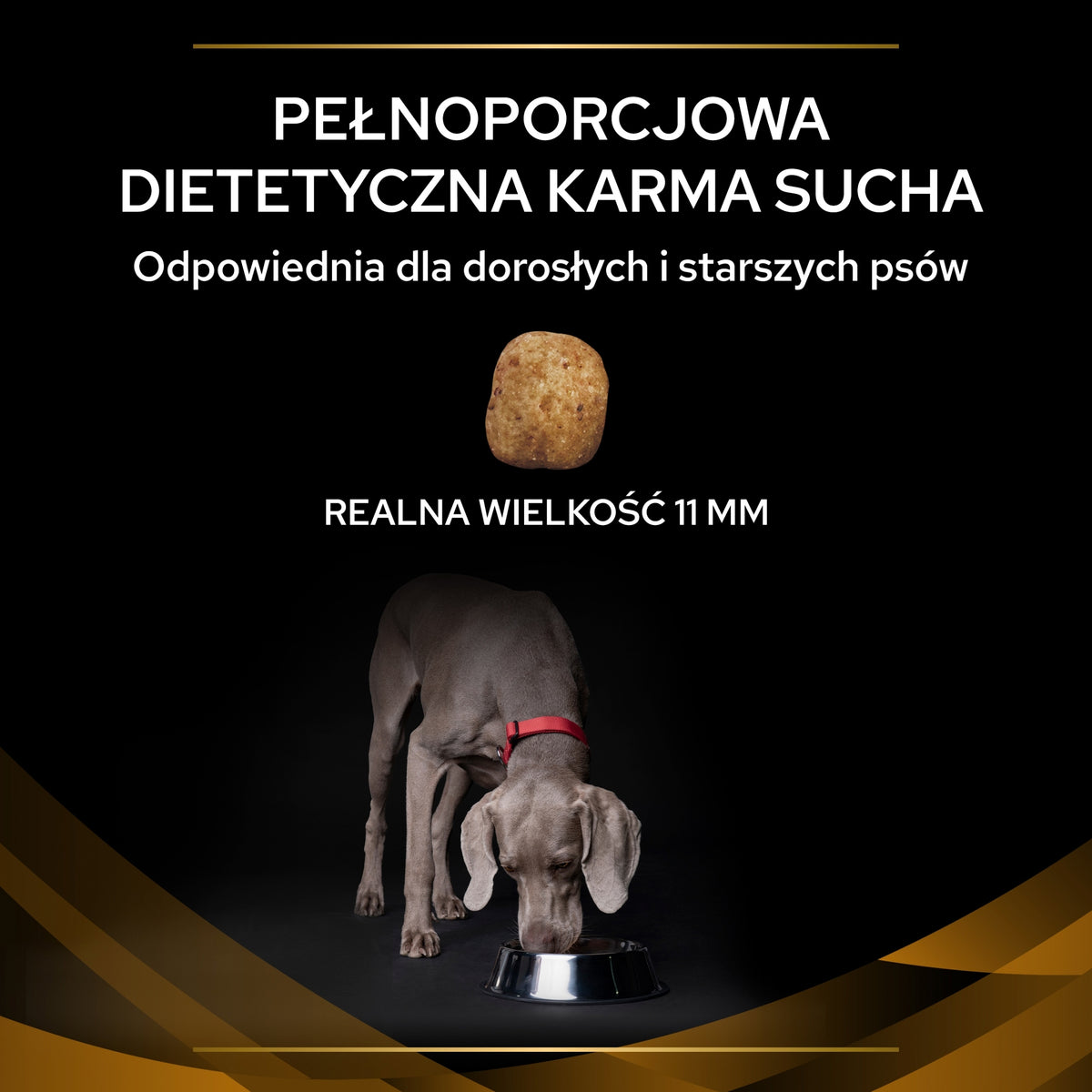 Pro Plan Veterinary Diets NF Renal Function sucha karma dla psów z niewydolnością nerek 12 kg – kurczak