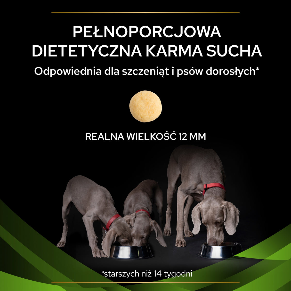 Pro Plan Veterinary Diets HA Hypoallergenic karma sucha dla psa 11 kg – dla alergików