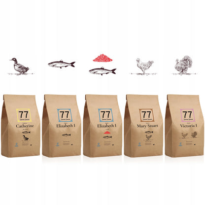 77 PET FOOD próbki suchej karmy dla kota 5 x 40 g – bezzbożowa, zestaw mix smaków