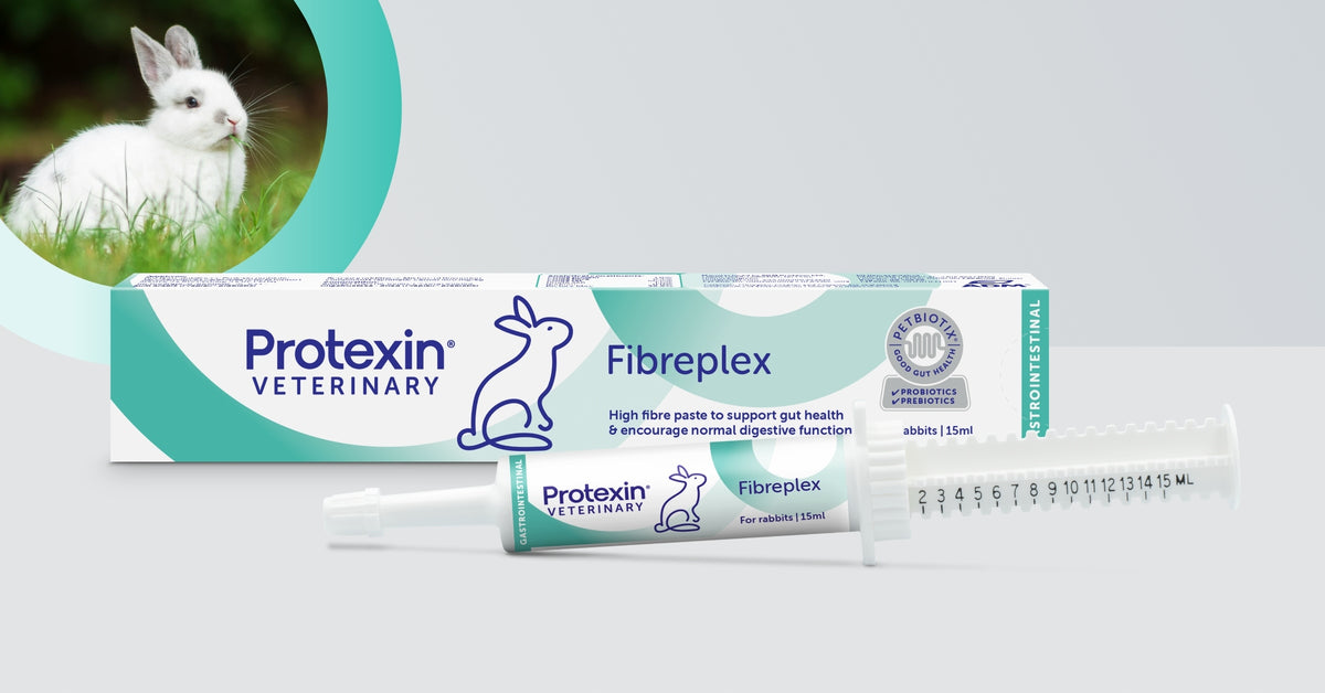 Protexin Fibreplex pasta probiotyczna dla królika 15 ml z prebiotykami – smak marchwi