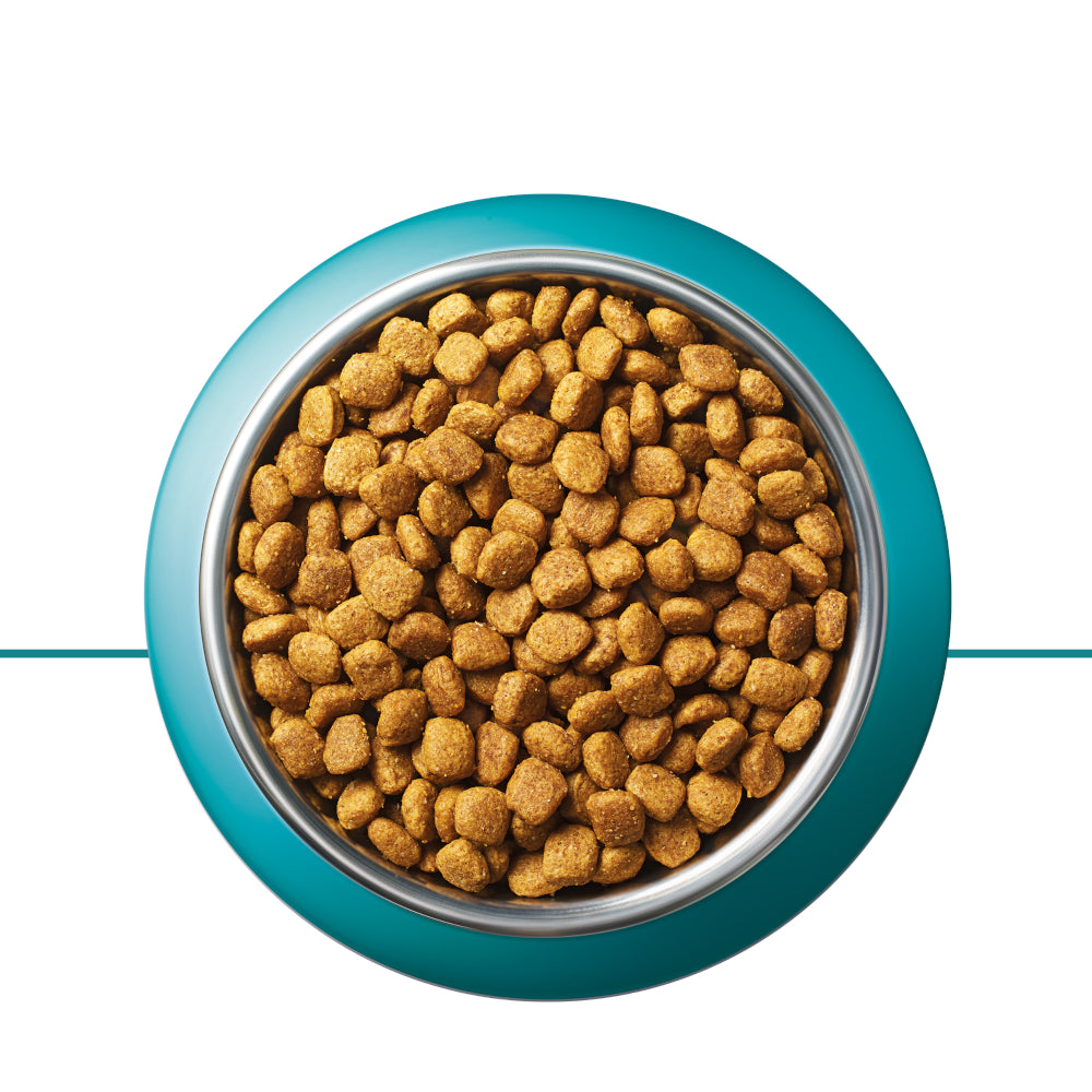 Purina ONE Sensitive sucha karma dla kota z indykiem i ryżem 2,8 kg – dla kotów dorosłych