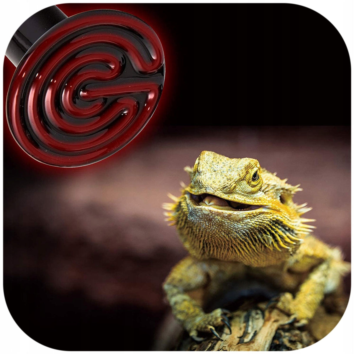 Resun Ceramiczny emiter ciepła do terrarium 60 W, gwint E27, bez światła – dla gadów