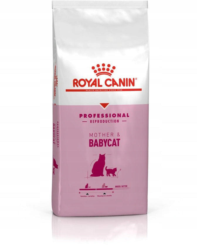 Royal Canin Mother & Babycat Professional 10 kg – sucha karma dla kotek w ciąży i kociąt