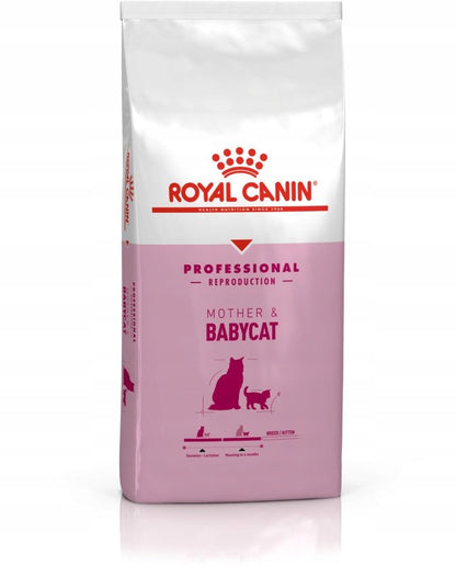 Royal Canin Mother & Babycat Professional 10 kg – sucha karma dla kotek w ciąży i kociąt