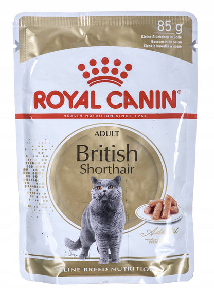 Royal Canin British Shorthair Adult mokra karma dla kota 85 g w sosie – kurczak