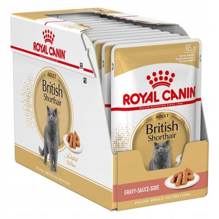 Royal Canin British Shorthair Adult mokra karma dla kota 85 g w sosie – kurczak