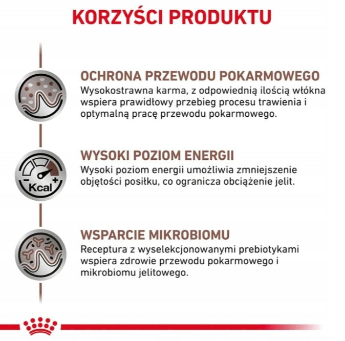 Royal Canin Veterinary Gastrointestinal mokra karma dla kota w sosie – 12 saszetek po 85 g