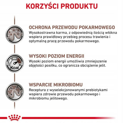 Royal Canin Veterinary Gastrointestinal mokra karma dla kota w sosie – 12 saszetek po 85 g
