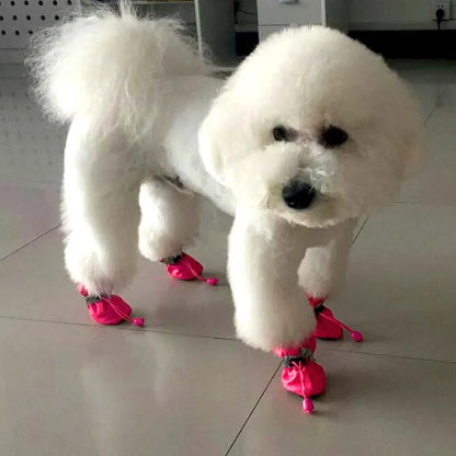 Buty dla psa — chroni łapki przed zimą i błotem