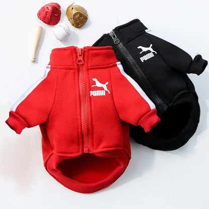 Sportowa bluza dla psa z zamkiem — ściągacze i krój dla małych ras